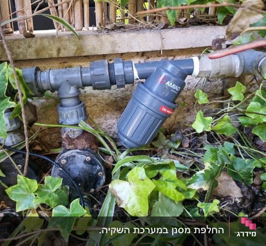 מסנן מים בגינה עם צינורות ועלים ירוקים